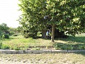 Obr: 35005.jpg