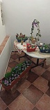 Obr: 47857.jpg