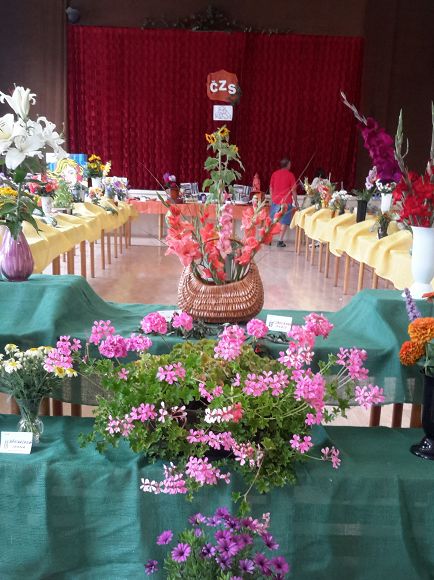 Obr: 12027.jpg