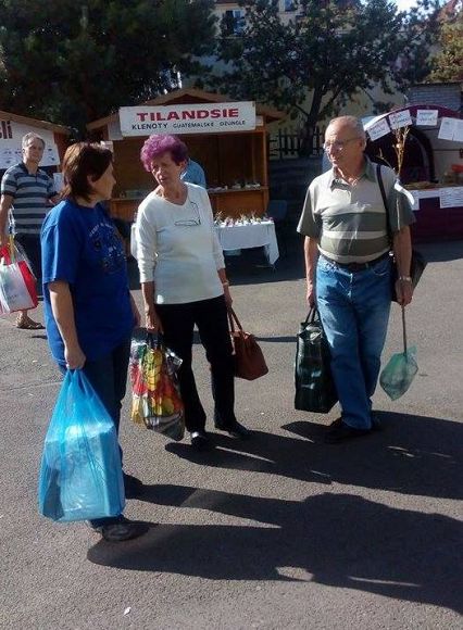 Obr: 12508.jpg