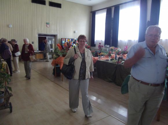 Obr: 2533.jpg