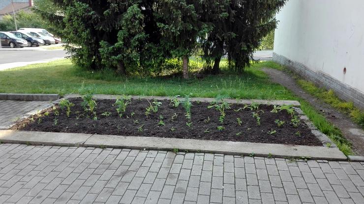 Obr: 25767.jpg