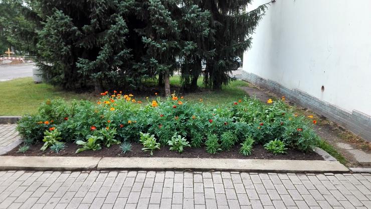 Obr: 26700.jpg