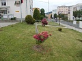 Obr: 11466.jpg