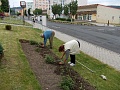Obr: 11469.jpg