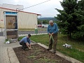 Obr: 11475.jpg
