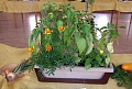 Obr: 12002.jpg