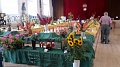 Obr: 12025.jpg