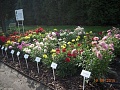 Obr: 12516.jpg