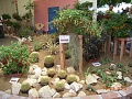 Obr: 12519.jpg