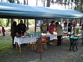 Obr: 13943.jpg