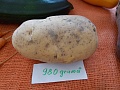 Obr: 21651.jpg