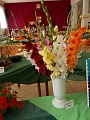Obr: 21657.jpg