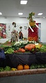 Obr: 22378.jpg