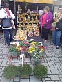 Obr: 22380.jpg