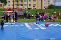 Obr: 2377.jpg