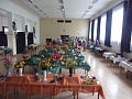 Obr: 2537.jpg