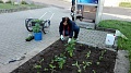 Obr: 25762.jpg