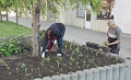 Obr: 25765.jpg
