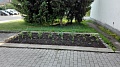 Obr: 25767.jpg
