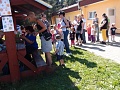 Obr: 2653.jpg