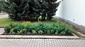 Obr: 26700.jpg