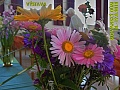 Obr: 27186.jpg