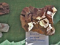 Obr: 27191.jpg