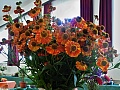 Obr: 27195.jpg