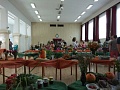 Obr: 27236.jpg