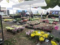Obr: 27703.jpg
