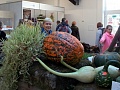Obr: 31729.jpg
