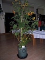 Obr: 378.jpg