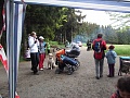 Obr: 5982.jpg