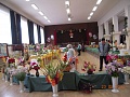 Obr: 6552.jpg