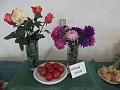 Obr: 6561.jpg