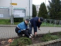 Obr: 8103.jpg