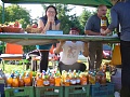 Obr: 31676.jpg