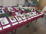 Obr: 47618.jpg