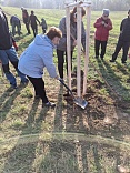 Obr: 47663.jpg