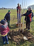 Obr: 47665.jpg