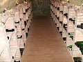 Obr: 14661.jpg