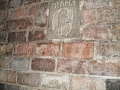 Obr: 7709.jpg