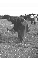 Obr: 2409.jpg