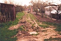 Obr: 2414.jpg