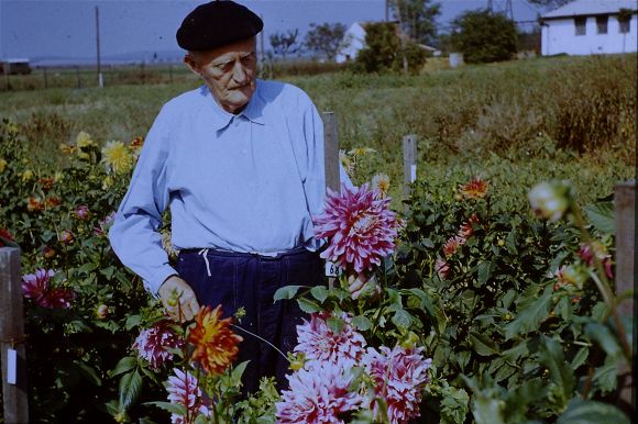Obr: 4744.jpg