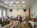 Obr: 21377.jpg