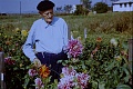Obr: 24965.jpg