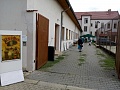 Obr: 31281.jpg