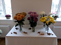 Obr: 32739.jpg